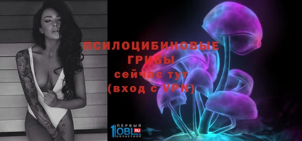 трава Куйбышев