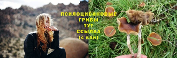 мяу мяу мука Кукмор
