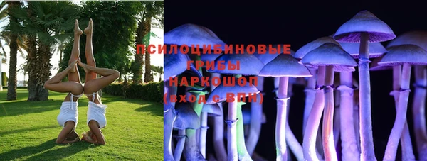 мяу мяу мука Кукмор
