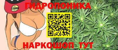 шишки Жуковский