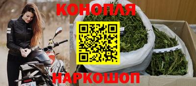 шишки Жуковский