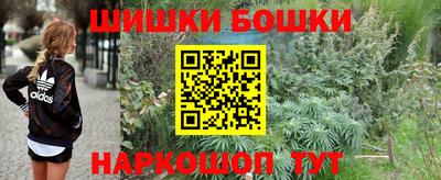 шишки Жуковский