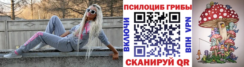 MEGA   дарнет шоп  Менделеевск  Галлюциногенные грибы Psilocybine cubensis 