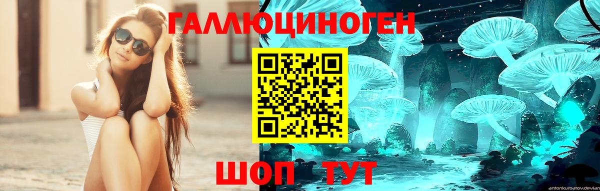 Галлюциногенные грибы мицелий  Вход с VPN  Менделеевск 