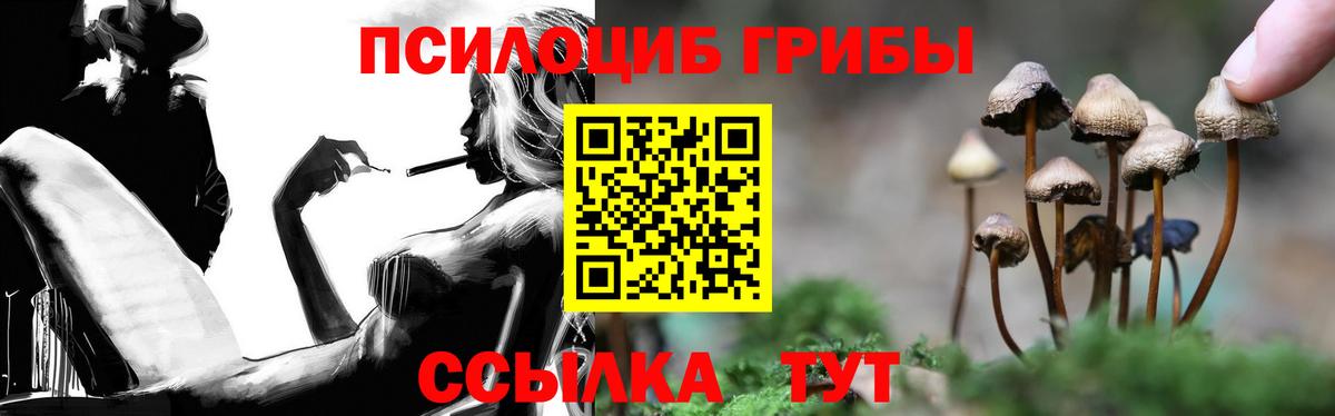 Псилоцибиновые грибы Psilocybine cubensis Менделеевск
